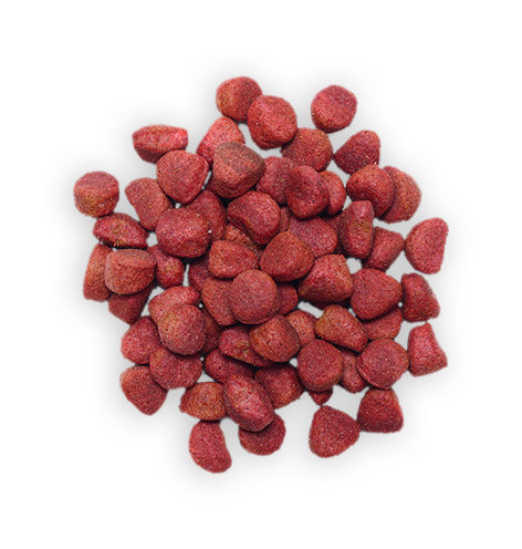 Dog food food-transparent-16
